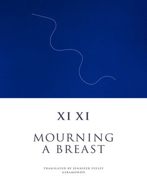 cover image of Mourning a Breast